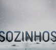 Sozinhos (9ª Temporada)