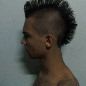 Foto de perfil de Henrique L. Barbosa