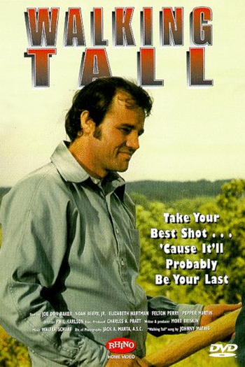  de Filme Fibra de Valente (1973)