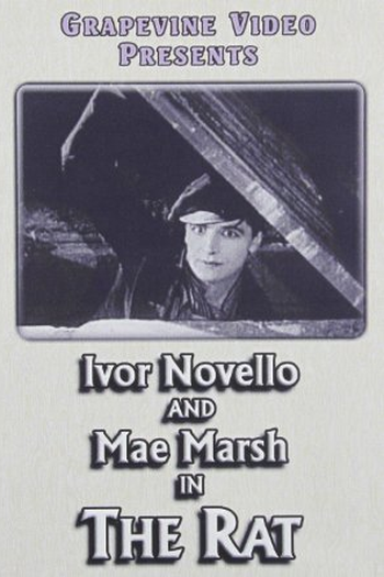 Poster de Filme The Rat (1925)