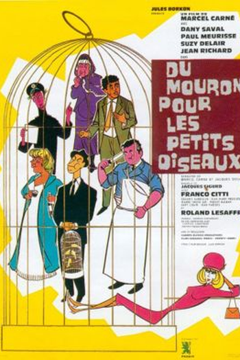 Poster de Filme Du mouron pour les petits oiseaux (1963)