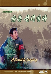 A Forest Is Swaying (Supun solleinda)