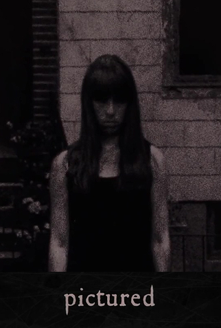 Poster 1 de Curta Pictured (2014)