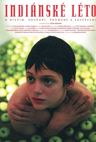 Poster 1 de Filme Indiánské léto (1995)