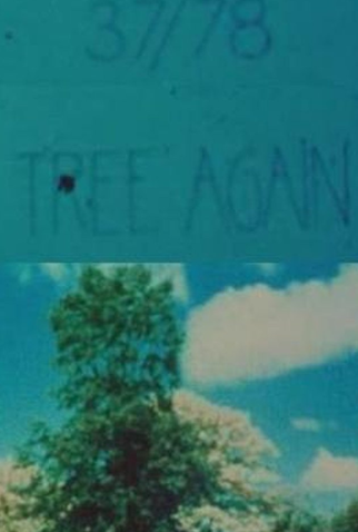 Poster 1 de Curta 37/78: Tree Again (1978)