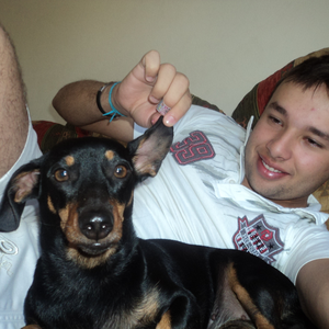 Foto de perfil de Téo Zambarda Alves