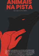 Animais na Pista