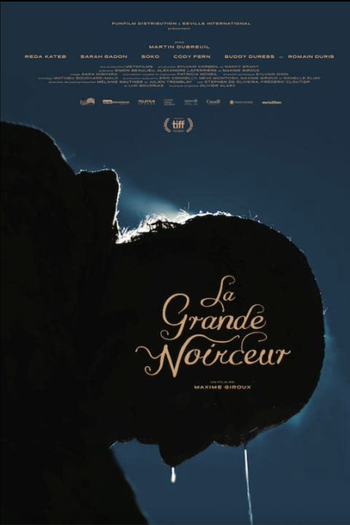 Poster de Filme La grande noirceur (2018)