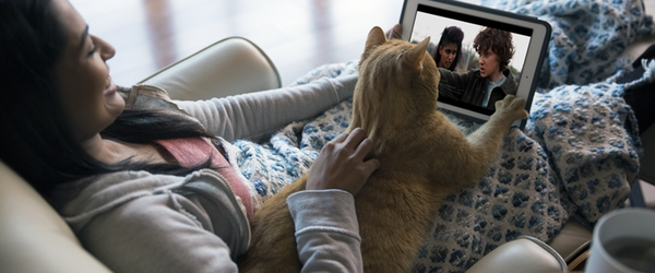 Estudo mostra que cães e gatos são a melhor companhia para maratonar séries!