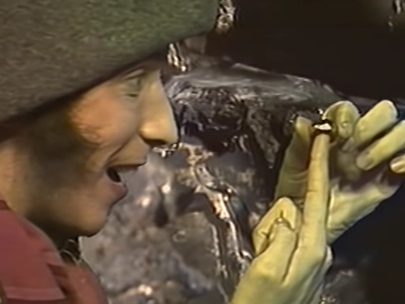 Foto 4 de A Sociedade do Anel