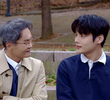 3회