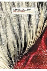 Kings of Leon: Sex on Fire (Kings of Leon: Sex on Fire)