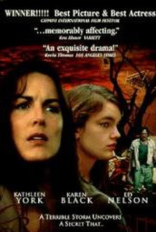 Poster 1 de Filme Furacão Camille (1996)