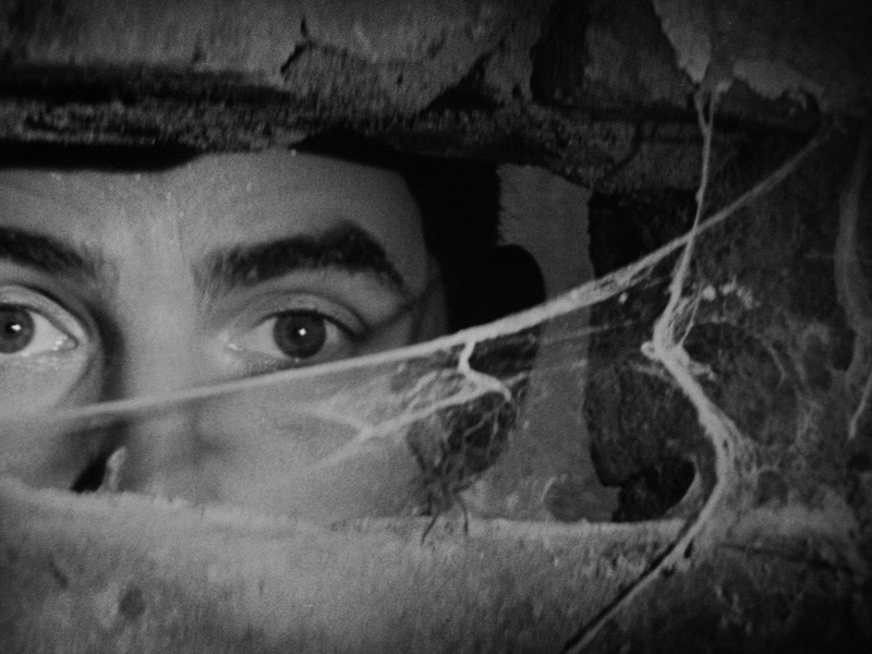 Foto 4 de Paranóico