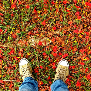 Foto de perfil de DetachmentWho