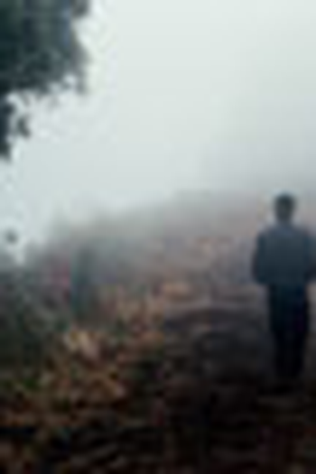  de Curta Vampiro (2008)