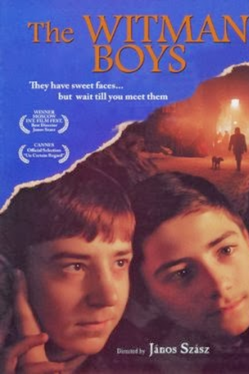 Poster de Filme The Witman Boys (1997)