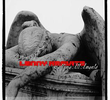 Lenny Kravitz: Calling All Angels