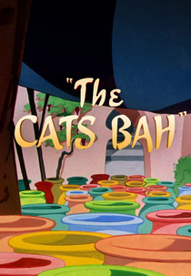 Tem Gambá em Casbá (The Cats Bah)