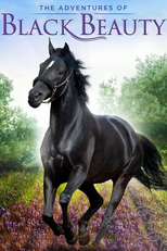 The Adventures of Black Beauty (The Adventures of Black Beauty)