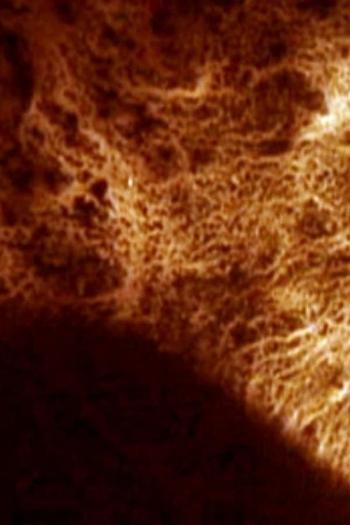 Poster de Curta Trash and No Star! (2007)