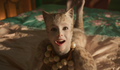 Evan Rachel Wood reage a 'Cats'