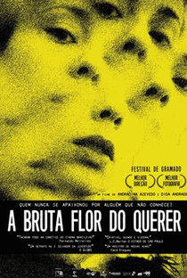 A Bruta Flor do Querer - Poster / Capa / Cartaz - Oficial 1