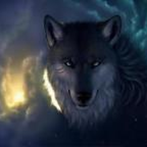 Foto de perfil de Lobo Junior-