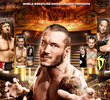 WWE Night of Champions - 2013
