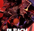 Bleach