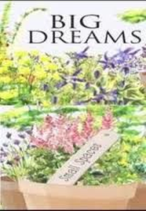 Big Dreams Small Spaces (Big Dreams Small Spaces)