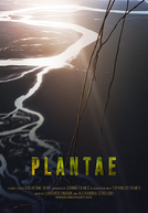Plantae (Plantae)