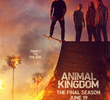 Animal Kingdom (6ª Temporada)