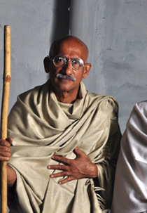 A Tartaruga, uma Encarnação (The Tortoise, an Incarnation)