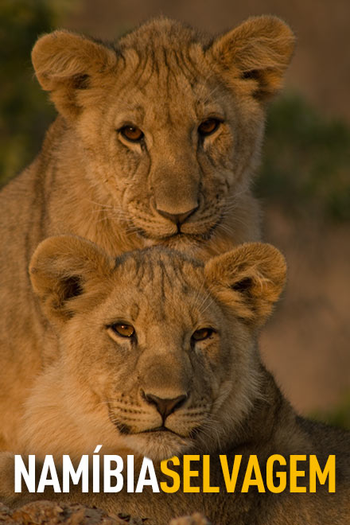 Poster de Série Namíbia Selvagem (2013)