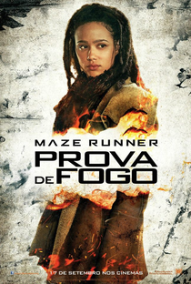 Maze Runner: Prova de Fogo - Poster / Capa / Cartaz - Oficial 20