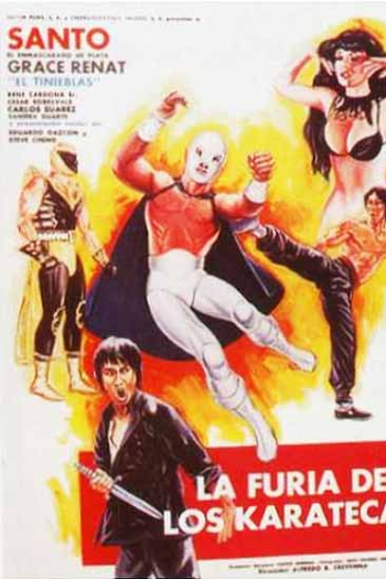 Poster de Filme A Fúria dos Karatecas (None)