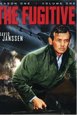O Fugitivo (The Fugitive)