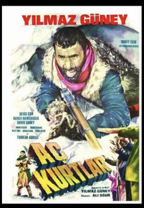 THE HUNGRY WOLVES (AÇ KURTLAR)