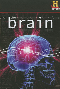 O Cérebro - Poster / Capa / Cartaz - Oficial 1
