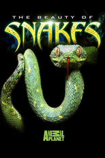 Documentario Animal - O Mundo das Cobras (Animal Planet: The Beauty of Snakes)