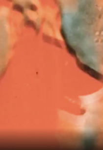 Brute Charm (Brute Charm)