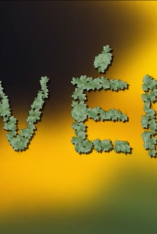 Poster 1 de Curta Véi (2011)