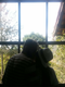 Thiago Suzane