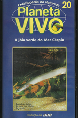 Planeta Vivo - A Jóia Verde do Mar Cáspio (Green Jewel of the Caspian)