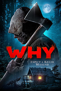 Why? - Poster / Capa / Cartaz - Oficial 1