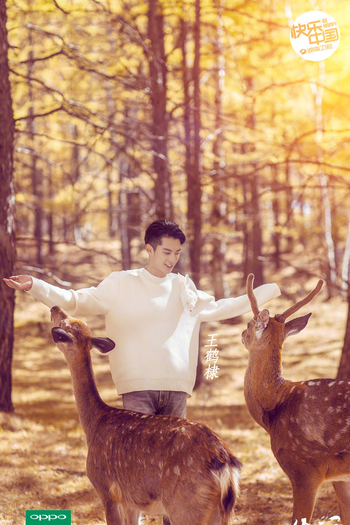  de TV The Inn 2 (2018)