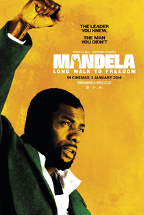 Mandela – O Caminho Para a Liberdade - Poster / Capa / Cartaz - Oficial 2
