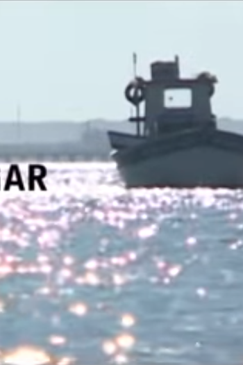 Poster de Curta Meu Lugar (2012)