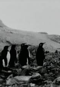 End of Summer (End of Summer)